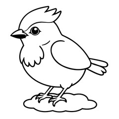 Cute vector illustration BlueJay doodle black and white for kids page