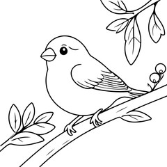 Cute vector illustration Finch drawing for toddlers book