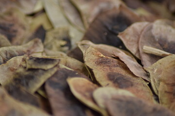 dried herbal tea plants