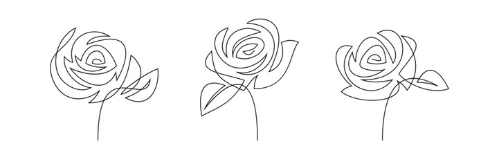 One line rose flowers, vector drawing