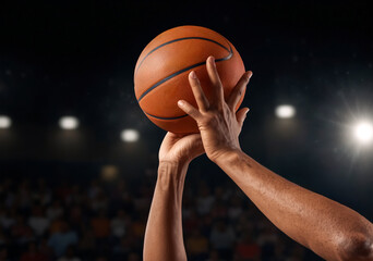 Basketball Arena and Basketball Players.