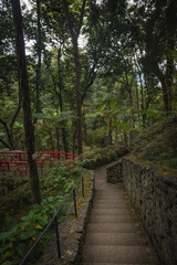 Jardin botánico de Funchal al amanecer 