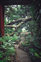 Jardin botánico de Funchal al amanecer 