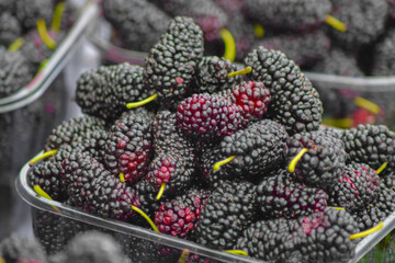 Blackberries raspberries on sale at the market