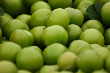 Green plums on sale at the market