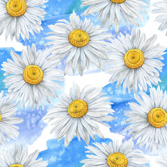 Seamless pattern of Hand Drawn watercolor floral plants camomile flowers. Herb flowers daisy. Botanical greenery chamomile flower illustration on white blue texture background. For fabric, wallpaper