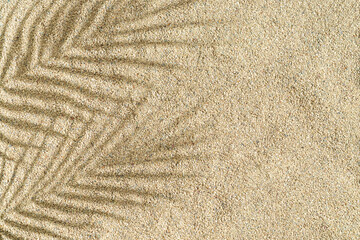 Tropical palm tree leaves shadow on beach sand background. Minimal summer concept. An original...