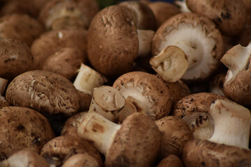 Mushrooms for sale in the market