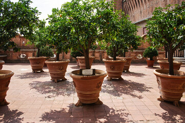 Fototapete bei efototapeten.de bestellen   