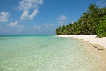 Tropical beach with white sand, clear water, palm trees on the beach