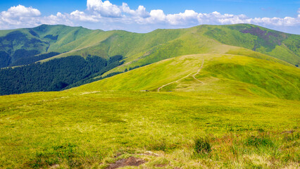 carpathian mountain landscape of ukraine in summer. beautiful nature scenery of mnt. hymba alpine grassy meadow on a sunny day. popular travel destination