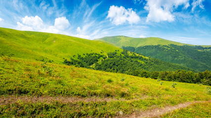 carpathian mountain landscape of ukraine in summer. nature scenery of alpine grassy hillside meadow on a sunny day. mnt. velykyy verkh in the distance. popular travel destination of transcarpathia