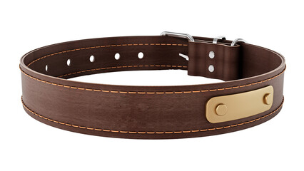 Dog collar isolated on transparent background. 3D illustration