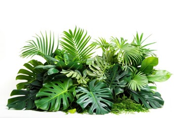 A lush green plant with many leaves and a large leafy green plant, giving the impression of a lush, tropical environment - Powered by Adobe