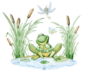 frogs mom and baby dragonfly mosquito, swamp, clods, sedge. Watercolor clipart, on an isolated background