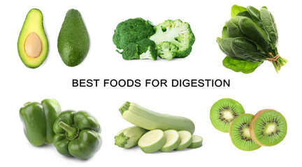 Foods for healthy digestion, collage. Broccoli, avocado, green bell peppers, kiwis, spinach and...