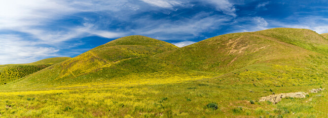 Panorama of pasture, grass on hillside, hill