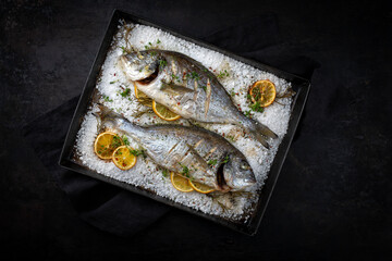 Two fresh steamed gilthead seabreams in salt crust with lemon slices and herbs served as top view in an old metal sheet