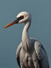 A Crane bird is sitting on a blue background. AI generated image