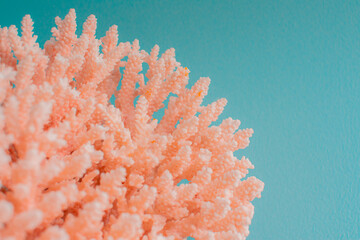 Pink Reef Three