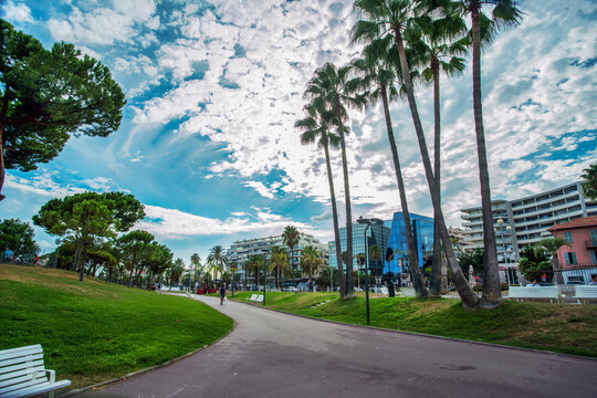 Amazing park  in right part of Promenade des Anglais
