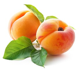 Two fresh apricots with leaves on isolated white background.