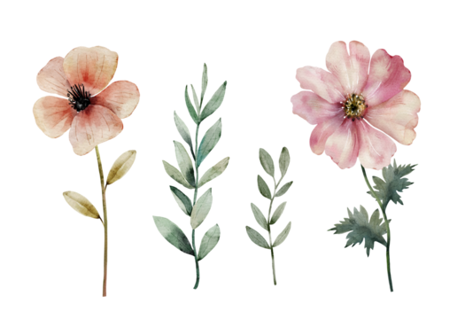 set of watercolor illustrations of flowers on a white background. hand painted for design and invitations.