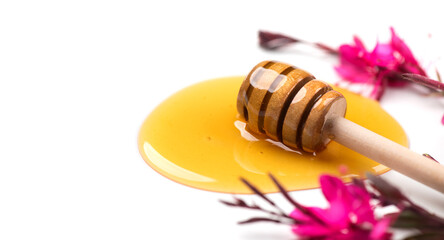 Honey dripping, pouring from wooden honey dipper spoon, isolated on white background. Close-up. Healthy organic liquid honey spill, decorated with gaura flowers. 