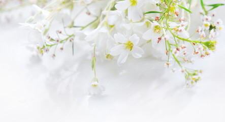 Beautiful tiny wild flowers bunch over white background, soft pastel colours, beauty invitation card design, wedding, birthday border art. Macro shot, nature, field flowers