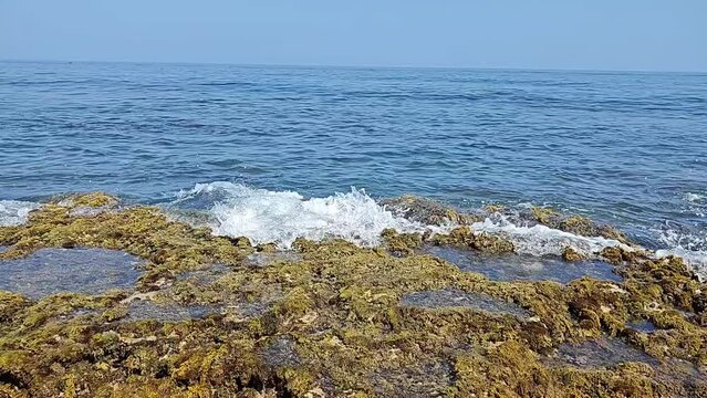 Oleaje marino sobre rocas con algas verdes y horizonte azul