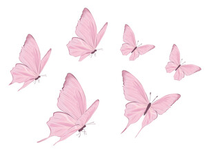 Obraz premium pink butterflies hand drawn.eps