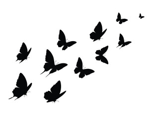 Black butterfly silhouettes. Outline butterflies romantic tattoo, tropical insects stencil. Summer and spring exotic symbols isolated vector set. Elegant wild flying moth of various shapes