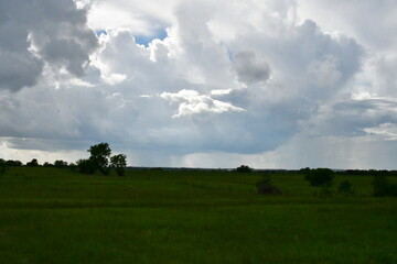 Clouds Over a Field