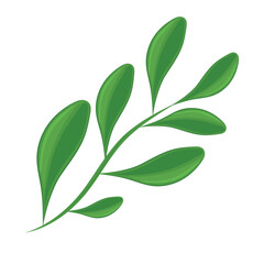 Realistic detailed branch of leaves Vector illustration