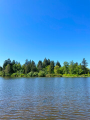 Obraz premium Lake and Forest