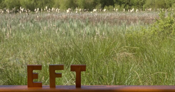 Letters EFT cut out of wood. Small overgrowing forest pond with fluffy cattail in blurred background. Emotion-focused therapy treatment concept.