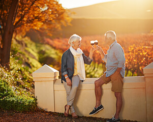 Senior couple, glasses and toast in outdoor for love, romance and relax in vineyard or nature....