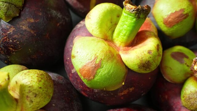 In the macro world of mangosteen, every detail sings. Deep purple rinds glisten, a testament to nature's artistry. Atop, green crowns bloom like delicate flowers, a symphony of color and texture.
