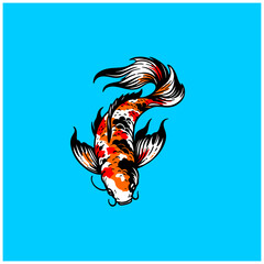 japanese koi fish illustration drawing vector 