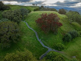 Walkway and flowering Pohutukawa tree on Mt Eden, Auckland, New Zealand.
