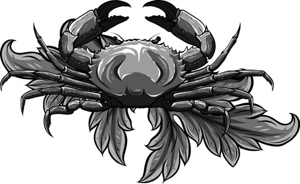 recommend clip art: monochrome Crab with claws. Sketch in a linear style isolated on a white background.