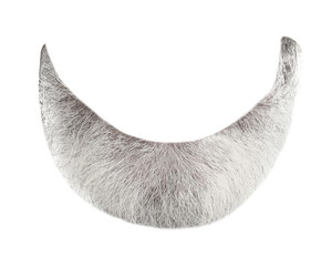 Stylish gray beard isolated on white. Facial hair