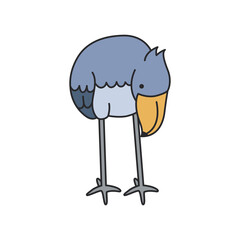 Shoebill stork illustration