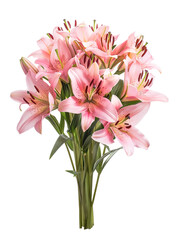 Obraz premium Pink lilies bouquet of flowers over isolated transparent background