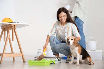 Young Asian woman with paint roller and Beagle dog during repair in their new house