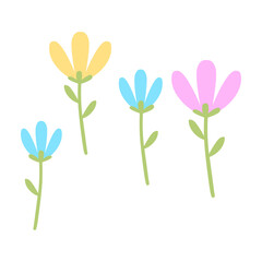 Hand drawn flower collection on white background