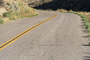 California Kingsnake On Rural Road