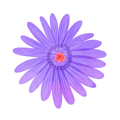 Watercolor flowers illustration on white background