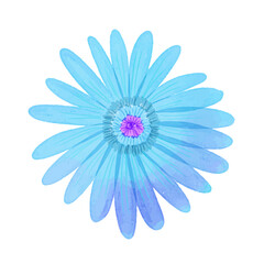 Obraz premium Watercolor flowers illustration on white background