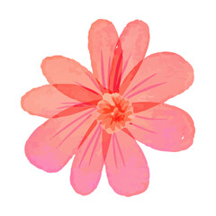 Watercolor flowers illustration on white background